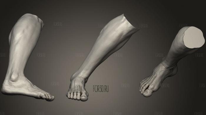 Male Foot 5 stl model for CNC
